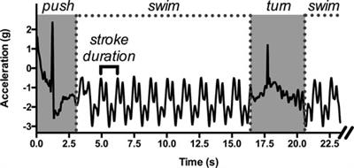 Behavioral Dynamics in Swimming: The Appropriate Use of Inertial Measurement Units